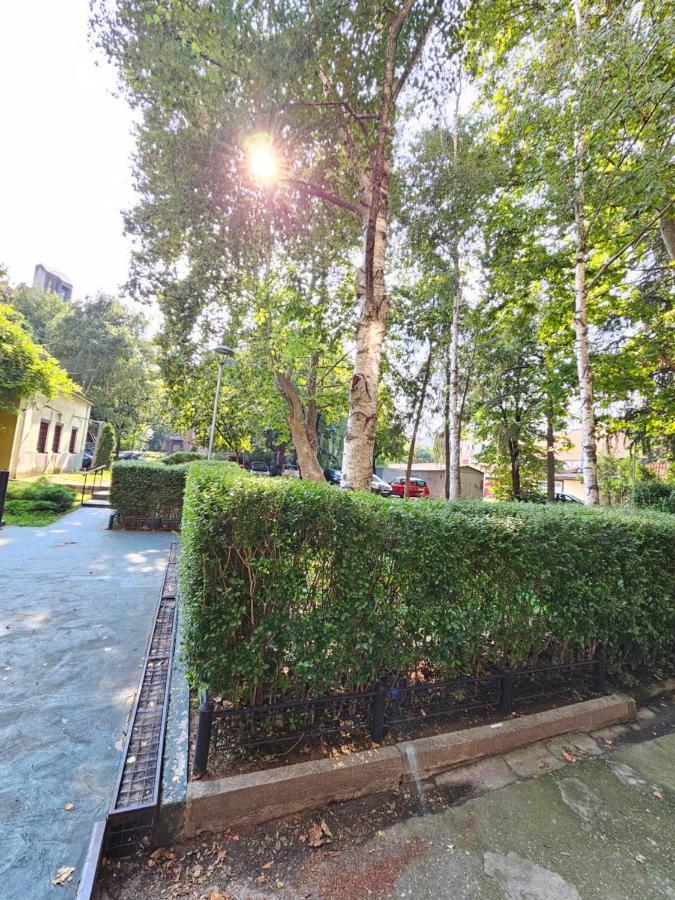 Booking Apartments Alone 1 Belgrado Esterno foto
